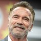 Deutsche Feststimme von Arnold Schwarzenegger
