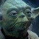 Yoda aus "Star Wars"